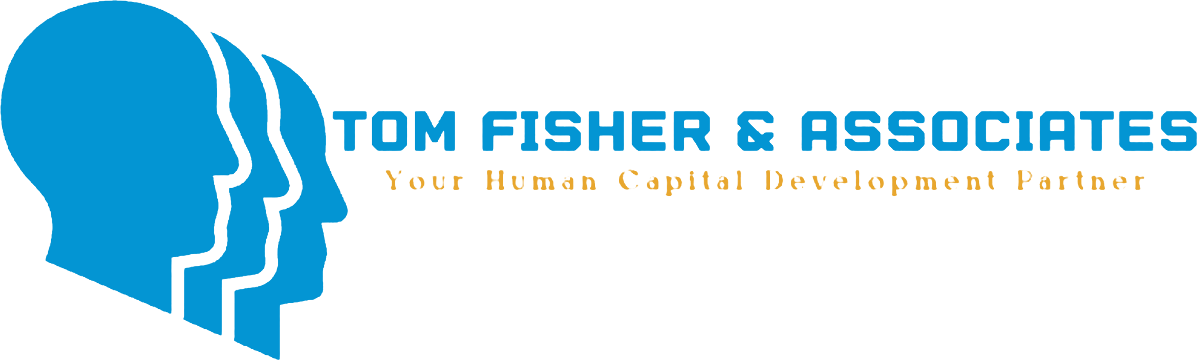 Tom Fisher & Associates — Your Human Capital Development Partner