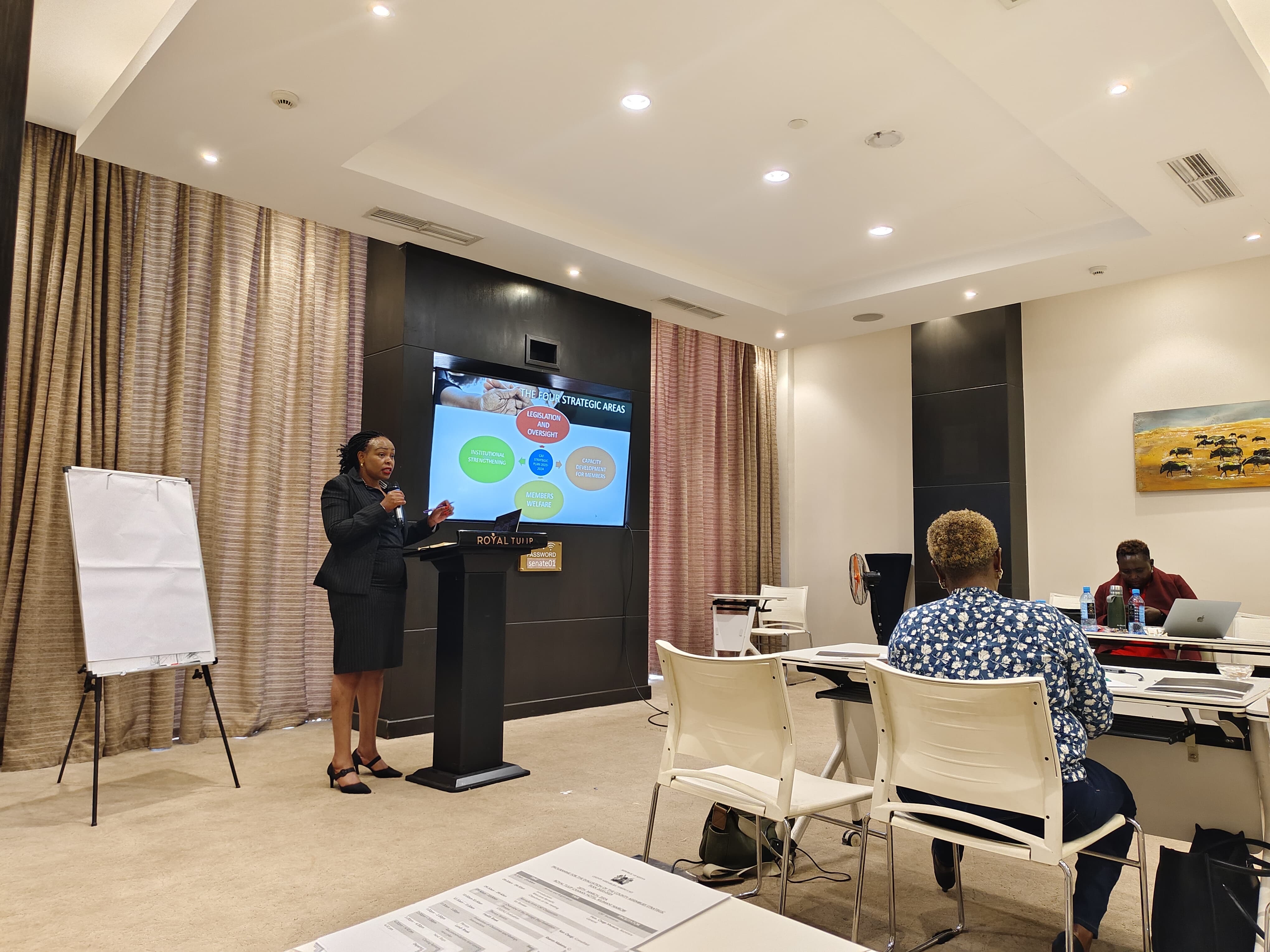 Facilitator presenting the four strategic areas of a strategic plan to participants